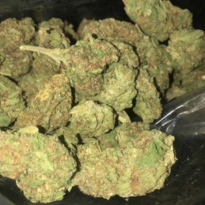 Meet your Posher, Ulises